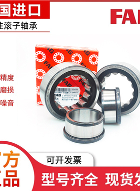 德国进口FAG轴承 NJ218 219 220 221 222 224 226 228E-TVP2/M1C3