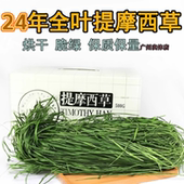 25年新烘干提摩西草南提嫩苗兔粮饲料兔子牧草兔子草龙猫豚鼠500g
