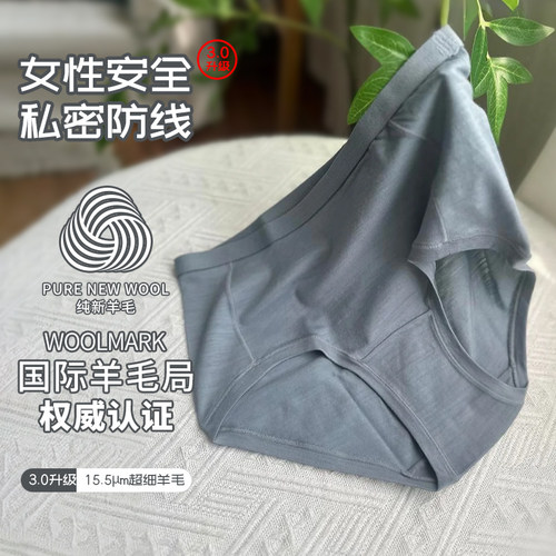 女15.5微米美利奴羊毛速干内裤专业运动裸感三角裤抑菌无痕短裤