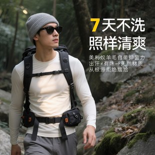 灰壳美利奴羊毛速干衣滑雪内衣男运动长袖户外登山冬季保暖打底衫