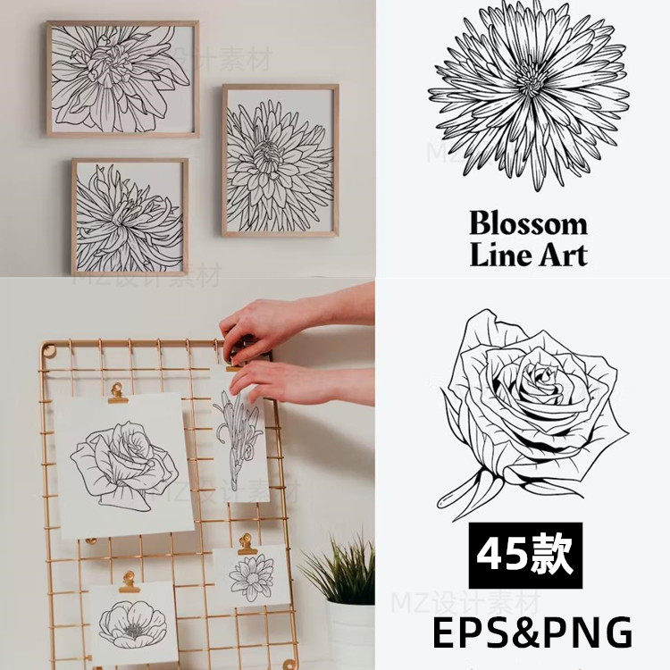 线条手绘线稿花卉花朵艺术装饰插画ai矢量图png设计logo图标素材