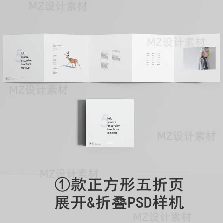 五折页正方形手风琴折叠宣传册设计效果图psd样机贴图vi模板素材