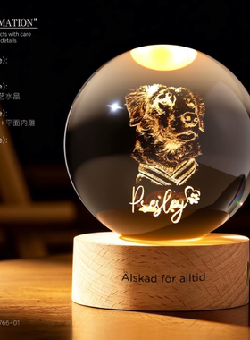 宠物奖杯定制定做水晶发光纪念品摆台猫咪狗离世生生日礼物送女生