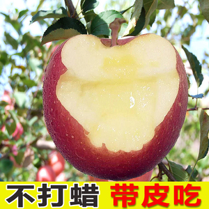 冰糖心苹果水果10斤包邮 当季新鲜水果丑萍果红富士 现摘现发