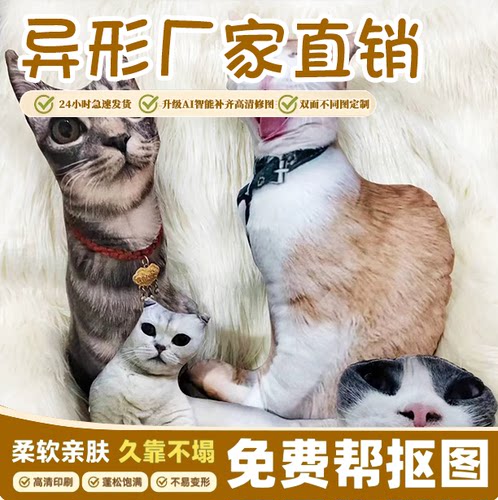 搞怪礼物无白边人形抱枕定制玩偶定制抠图包丑猫娃娃猫咪diy照片
