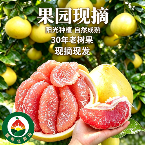 粤北长坝30年老树红心柚子红心蜜柚柚子红肉多汁节日送人企业团购