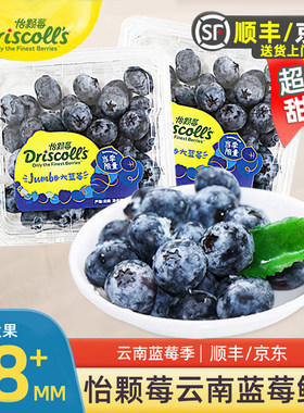 云南产季怡颗莓蓝莓鲜果顺丰