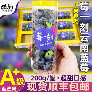 限量新鲜L25花香大蓝莓顺丰 罐当季 莓一刻云南超甜蓝莓鲜果 200g