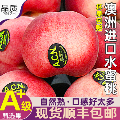 澳洲进口空运水蜜桃顺丰