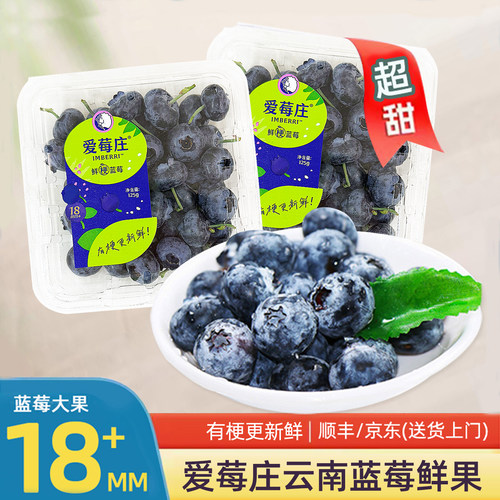 爱莓庄云南山地蓝莓鲜果
