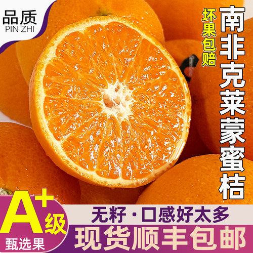 南非克莱蒙蜜桔顺丰包邮