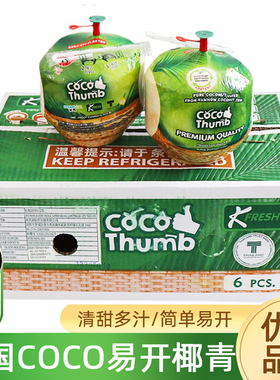 泰国进口易开宝Coco椰子2/6个装 新鲜网红易拉罐椰香水椰青顺丰