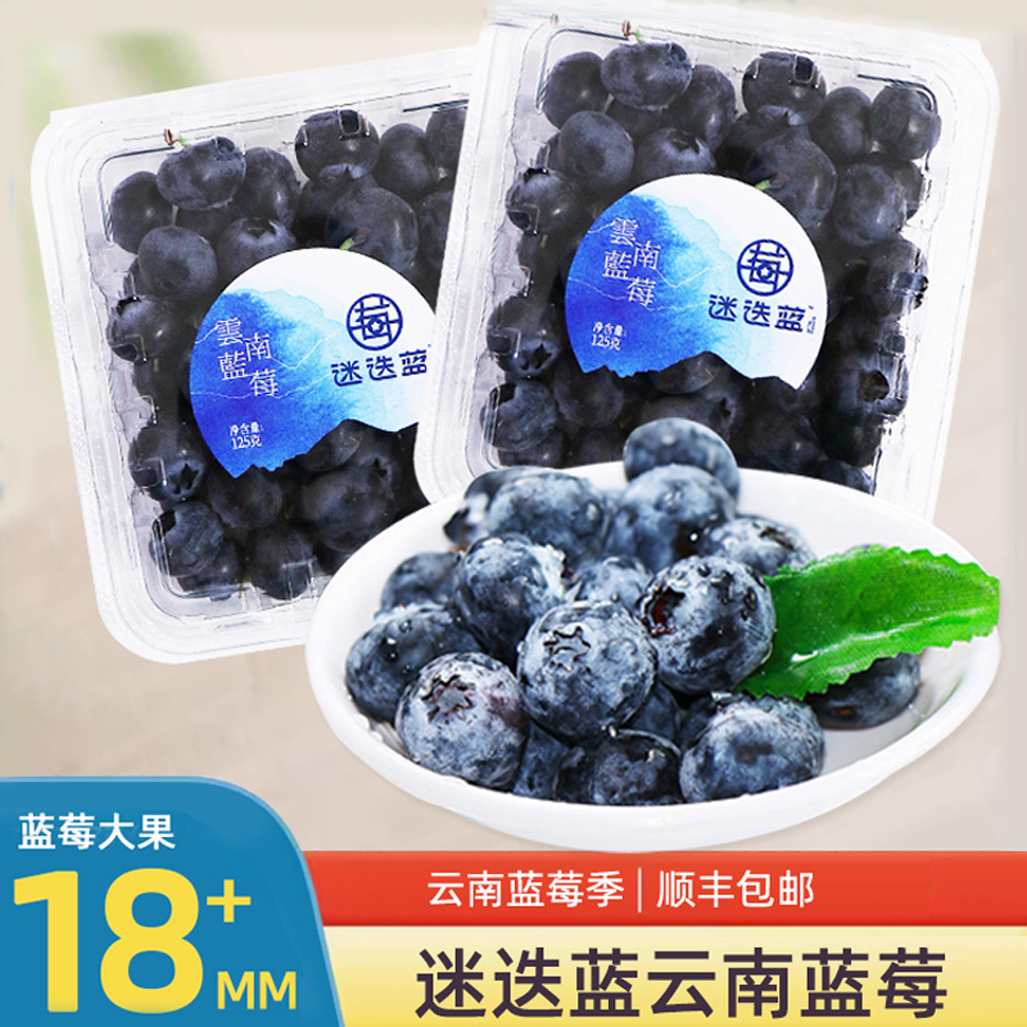 迷迭蓝云南蓝莓顺丰包邮
