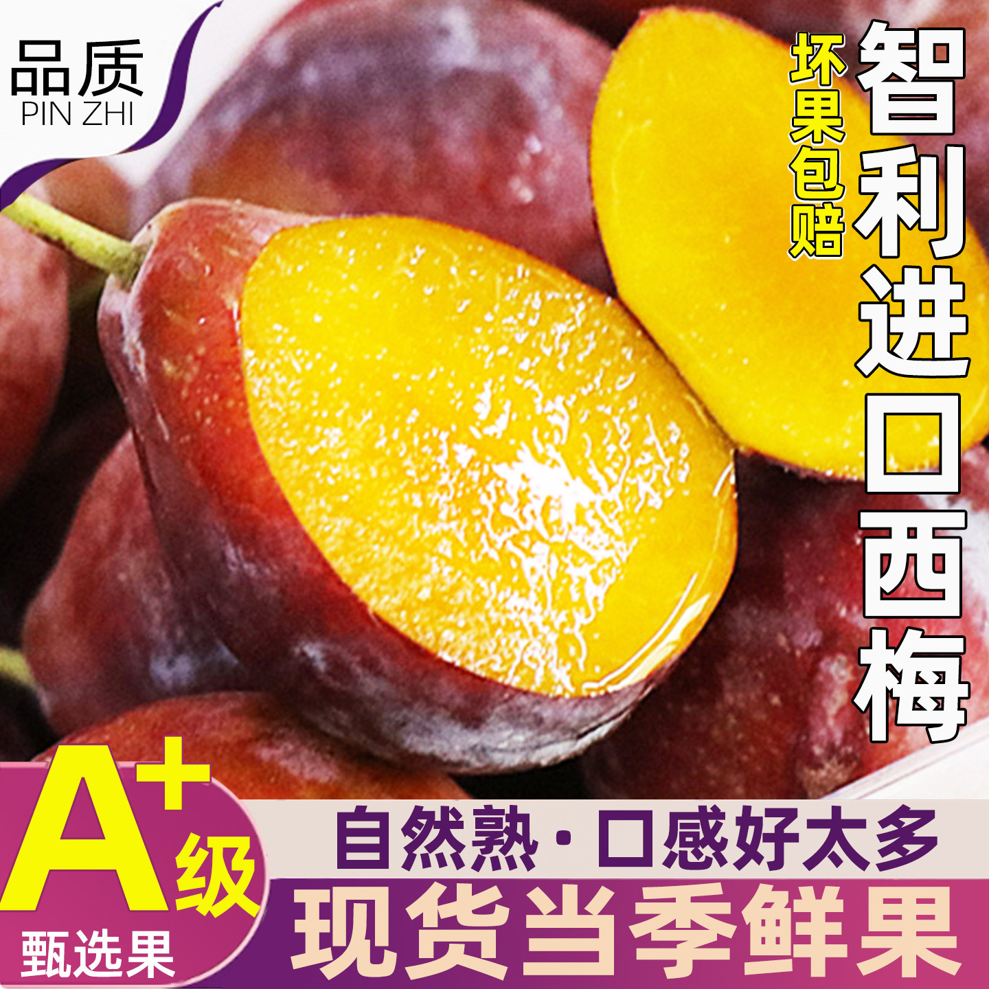 智利进口西梅鲜果水果大果 孕妇当季树上熟甜欧洲李子顺丰