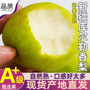 正宗新疆库尔勒香梨全母梨整箱现摘新鲜水果孕妇梨子小香梨顺丰