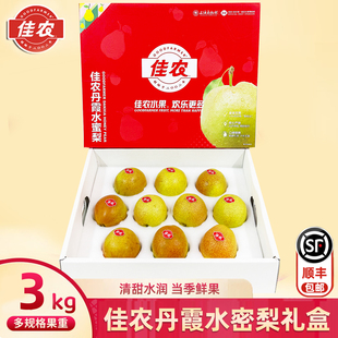 佳农丹霞水蜜梨子6斤礼盒装 清甜多汁当季新鲜酥蜜梨顺丰包邮