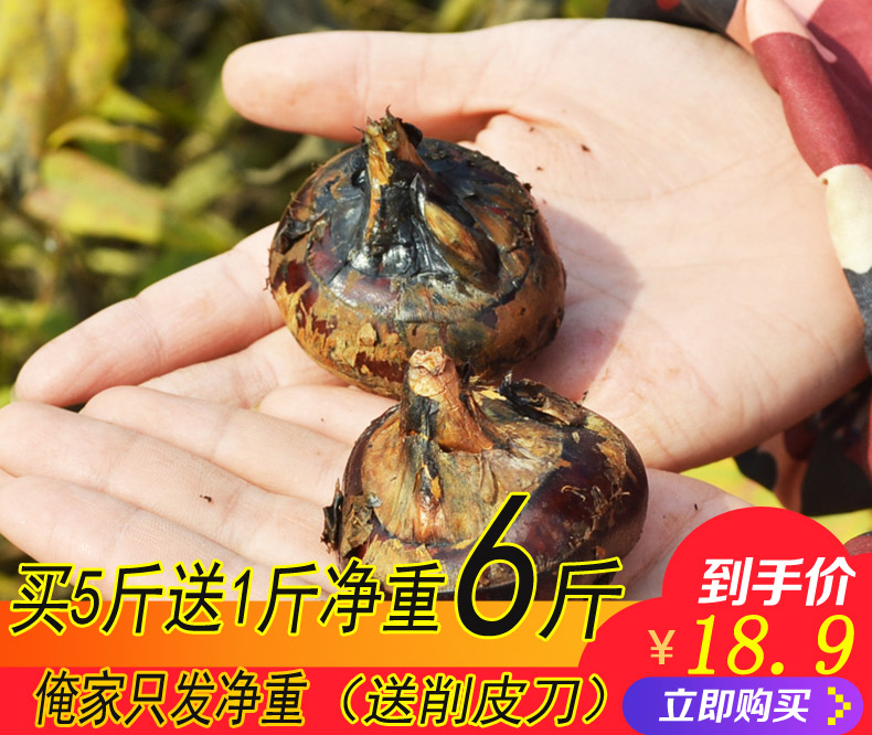 个大新鲜
