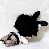 套装 娃衣20cm10cm娃衣40cm棉花娃娃黑丝五件套正版 兔女郎换装 便宜