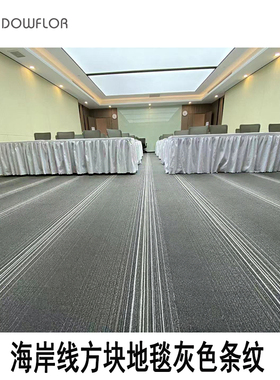 道弗乐海岸线星际迷航灰色条纹ＰＶＣ办公室方块道尔顿地毯卡其色