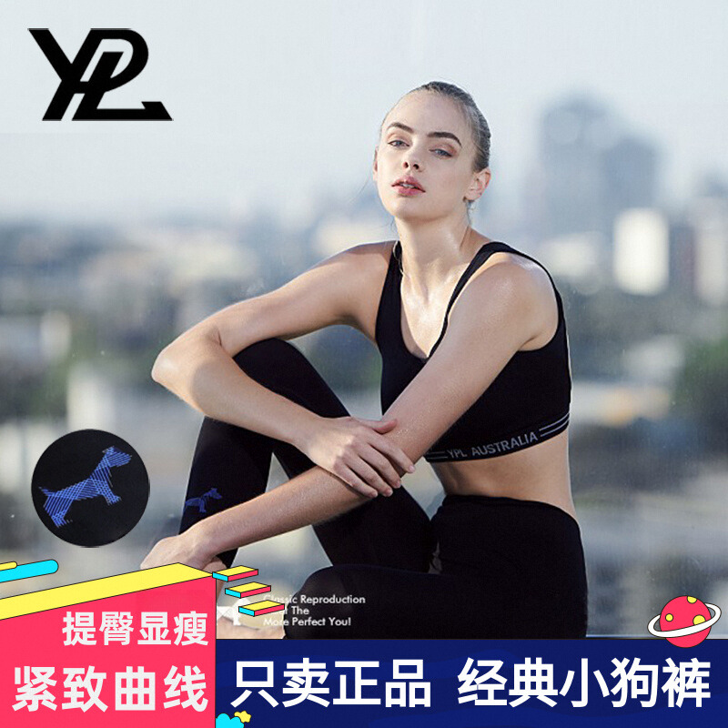 YPL经典蓝色小狗裤芭比打底裤女