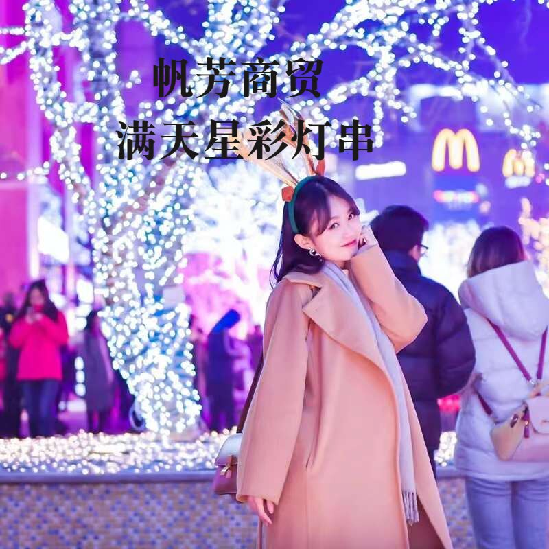 满天星灯氛围灯户外防水装饰树灯