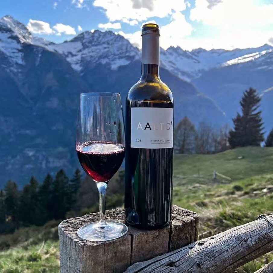 出道即巅峰！西班牙酒王酿酒师红酒Aalto奥托干红葡萄酒丹魄红酒