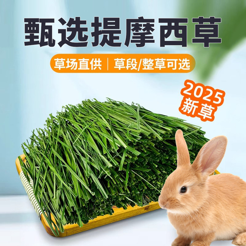 洁西晒干提摩西草段兔子干草