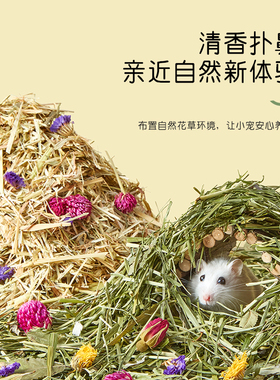 花草垫料仓鼠除臭垫料夏天木屑窝笼子花枝鼠造景装饰品金丝熊用品