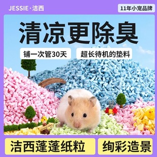 洁西仓鼠除臭垫料彩虹无尘纸粒代替木屑造景金丝熊纸棉花枝鼠用品