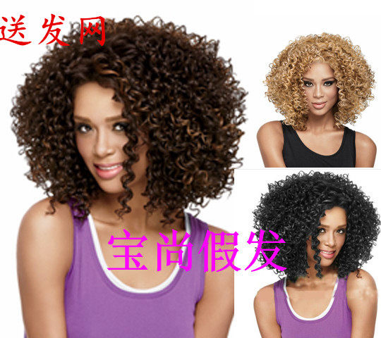 Perruque OTHER   cheveux courts - Ref 2608389 Image 1