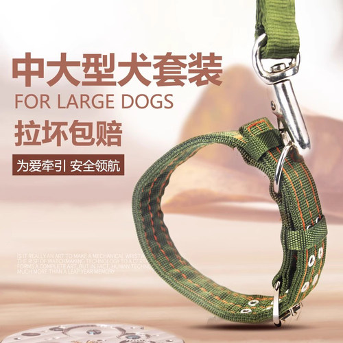 中型金毛拉布拉多项圈用品狗链子