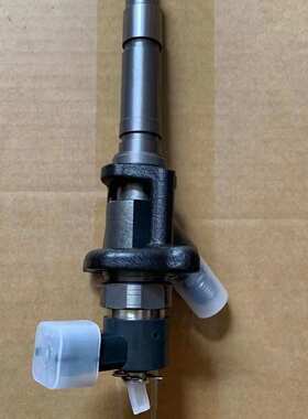 0445120090 柴油发动机喷油器