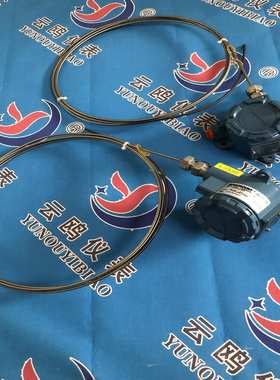 WRMK2-232T型铠装热电偶WRFK2-331WRMK-401