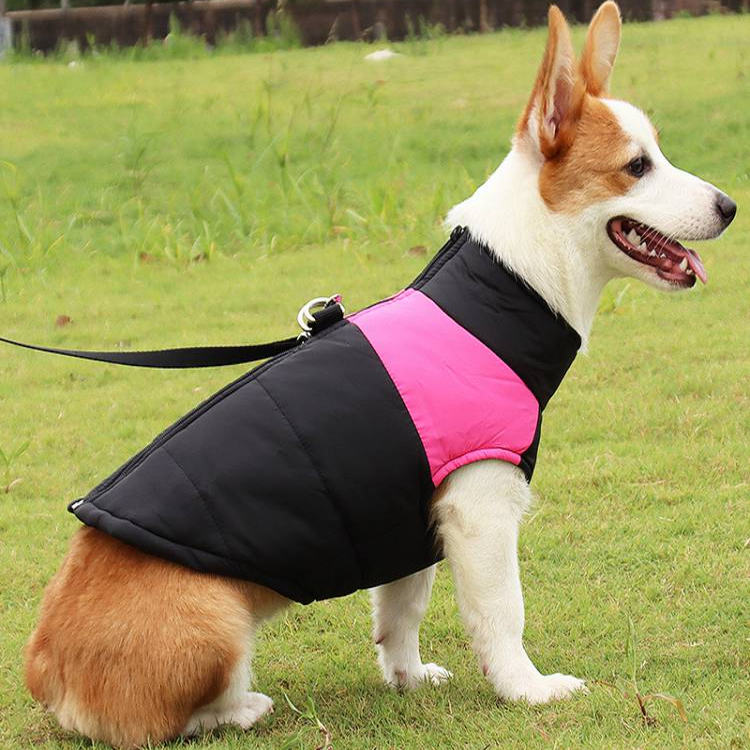 棉衣防水拉布拉多通用哈士奇通用