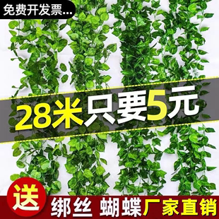 饰绿藤绿叶藤条缠绕假花绿植叶子塑料花 仿真葡萄叶绿萝吊顶管道装