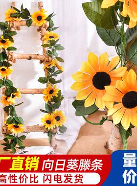 仿真向日葵花藤太阳花枝幼儿园管道楼梯室内外装饰藤条缠绕假花条
