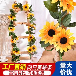 仿真向日葵花藤太阳花枝幼儿园管道楼梯室内外装 饰藤条缠绕假花条