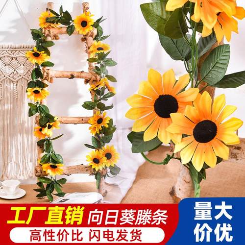 仿真向日葵花藤太阳花枝幼儿园管道楼梯室内外装饰藤条缠绕假花条