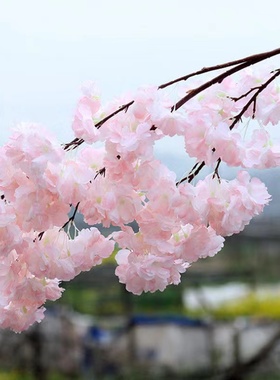 仿真樱花枝婚庆假花树梅花桃花枝塑料花室内客厅吊顶阳台花藤装饰