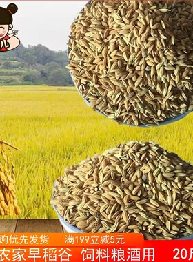 农家自种新粮带壳稻子早稻谷早籼稻圆粒鸡鸭鸽子宠物仓鼠饲料20斤