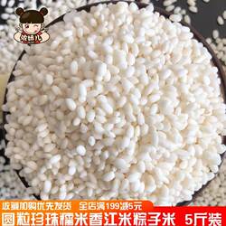 安徽芜湖南陵新圆粒糯米珍珠梗糯香白粽子专用江米5斤圆糯米新鲜