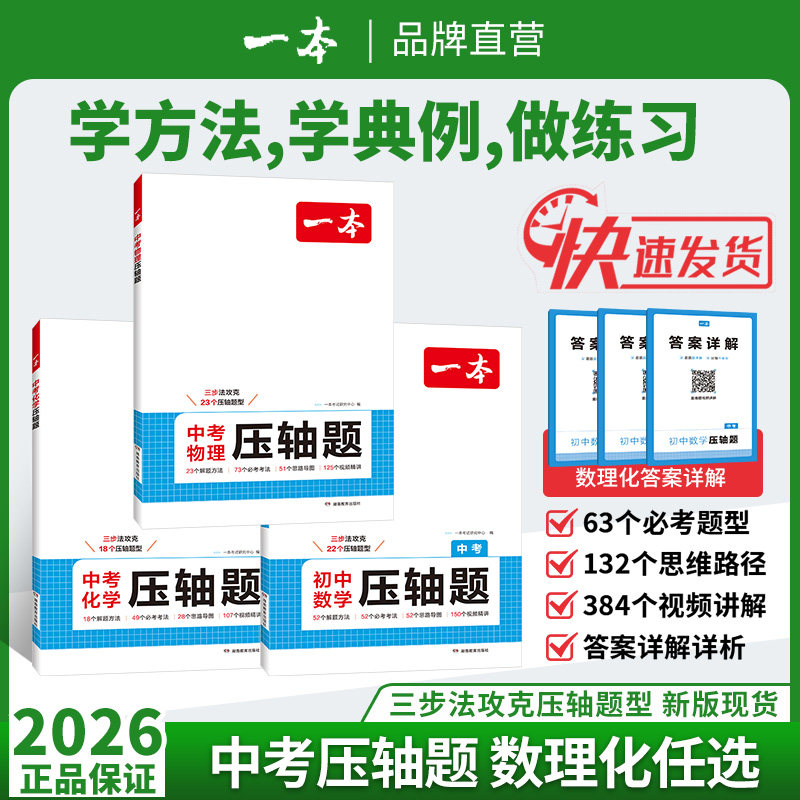 2025一本中考数理化压轴题人教版
