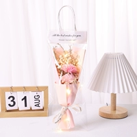 Новые 2 гвоздики [двойной порошок] свет+сумка