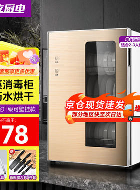 金立厨电消毒柜家用厨房商用消毒柜不锈钢小型立式台式碗筷消毒碗