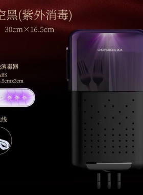 缔尚（DISHANG）筷子筒紫外线消毒防尘免打孔壁挂厨房筷子篓沥水