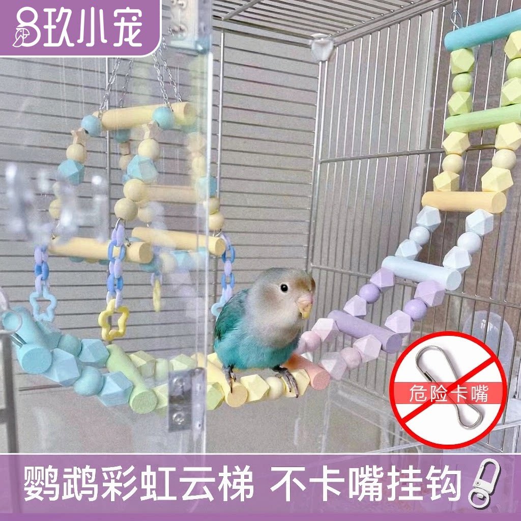 鹦鹉爬梯秋千攀爬云梯宠物鸟玩具图片