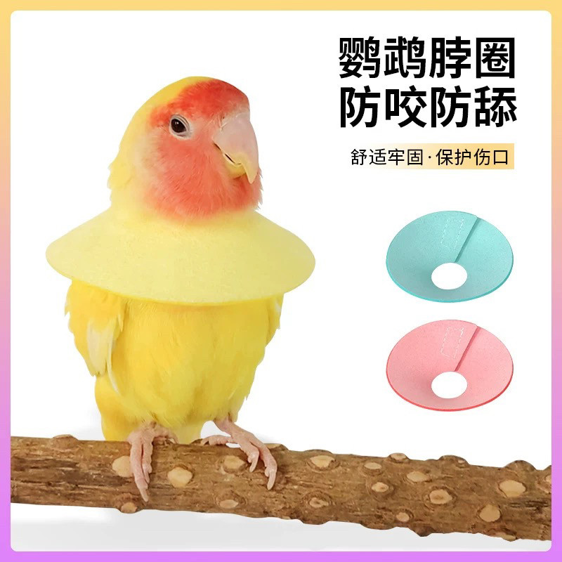 8玖-鹦鹉伊丽莎白圈防啄毛防咬受伤保护项圈鸟用具用品专用玩具,宠物/宠物食品及用品,鸟玩具,淘宝优惠券,粉丝福利购,淘宝优惠卷