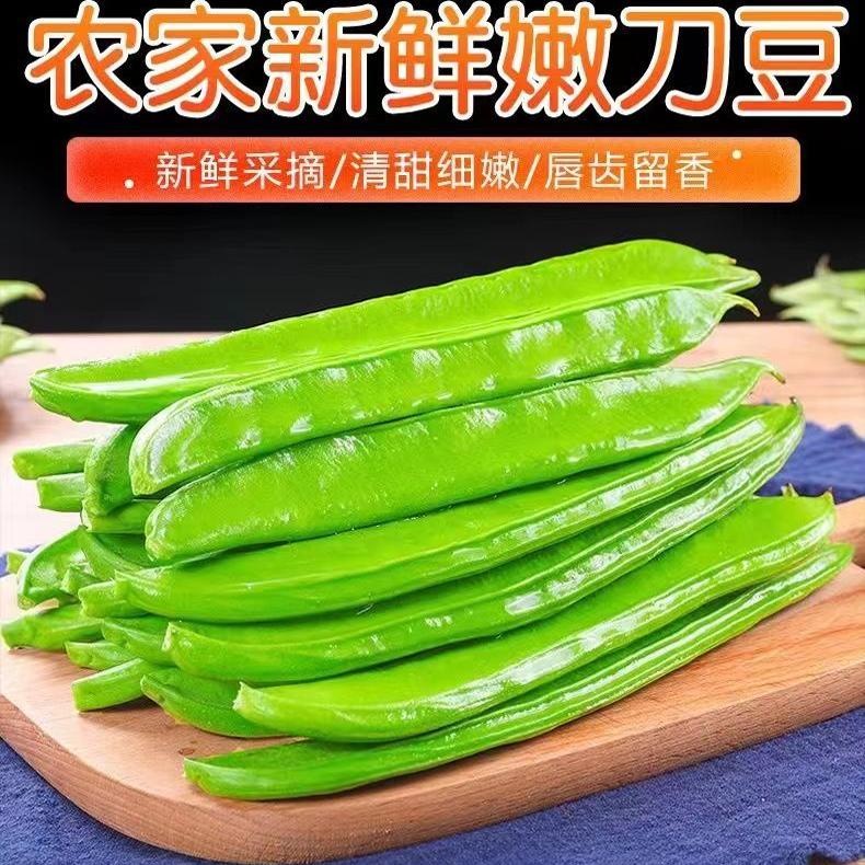 广西特产新鲜刀豆现摘现发农家刀菜豆/芸豆/油豆角