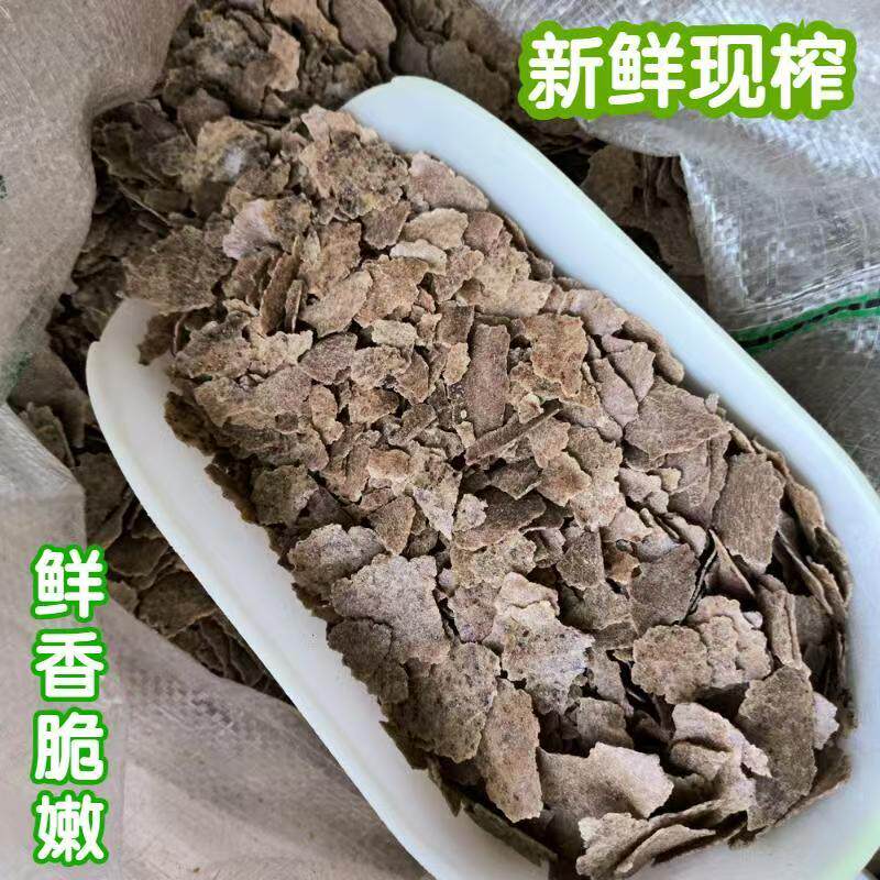 广西现榨去壳炒熟花生饼枯片野钓有机肥
