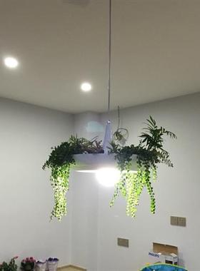 白色吊灯铝材艺术灯花盆空中花园盆栽植物北欧餐厅灯创意吊灯灯具